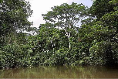 《拳皇15》最新DLC角色“堕珑”预告 9月12日上线